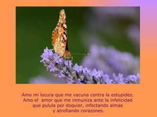 Amo mi locura que me vacuna contra la estupidez.  Amo el  amor que me inmuniza ante la infelicidad  que pulula por doquier, infectando almas  y atrofiando corazones. 