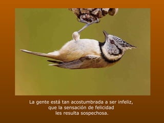 La gente está tan acostumbrada a ser infeliz,  que la sensación de felicidad  les resulta sospechosa.   