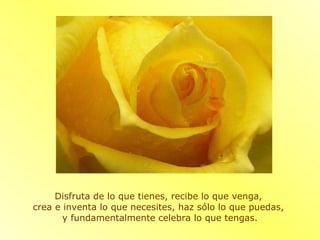 Disfruta de lo que tienes, recibe lo que venga,  crea e inventa lo que necesites, haz sólo lo que puedas,  y fundamentalmente celebra lo que tengas. 