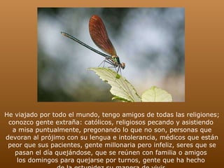 He viajado por todo el mundo, tengo amigos de todas las religiones; conozco gente extraña: católicos, religiosos pecando y asistiendo  a misa puntualmente, pregonando lo que no son, personas que devoran al prójimo con su lengua e intolerancia, médicos que están peor que sus pacientes, gente millonaria pero infeliz, seres que se pasan el día quejándose, que se reúnen con familia o amigos  los domingos para quejarse por turnos, gente que ha hecho  de la estupidez su manera de vivir. 