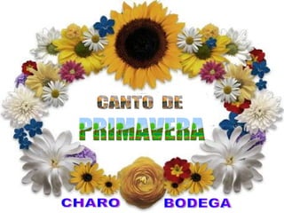 CANTO  DE PRIMAVERA CHARO BODEGA 