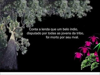 Conta a lenda que um belo índio,Conta a lenda que um belo índio,
disputado por todas as jovens da tribo,disputado por todas as jovens da tribo,
foi morto por seu rival.foi morto por seu rival.
 