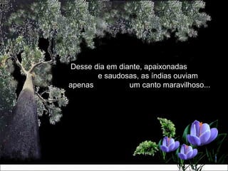 Desse dia em diante, apaixonadasDesse dia em diante, apaixonadas
e saudosas, as índias ouviame saudosas, as índias ouviam
apenas um canto maravilhoso...apenas um canto maravilhoso...
 