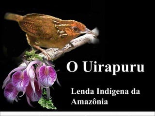 O UirapuruO Uirapuru
Lenda Indígena daLenda Indígena da
AmazôniaAmazônia
(Não precisa clicar. Mudança automática dos slides.)
 