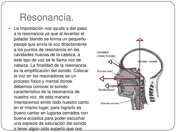 Dar Resonancia Gutural A La Voz