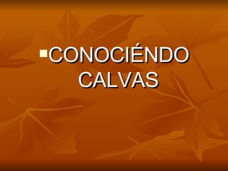 CONOCIÉNDO CALVAS 