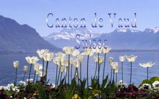 Canton de Vaud Suisse 