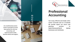 Complete Tax Return and Planning Services to RYDE by Cantor Accounting ...
