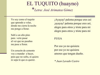 EL TUQUITO (huayno)  * Letra: José Arimatea Gómez  Yo soy como el tuquito que aprendo a volar, donde me cierra la noche  me pongo a llorar. Subí a un alto pino para  verte pasar al ver que no pasabas me puse a llorar. Un corazón de cemento voy a mandar  a hacer, para que no sufra, ni quiera ni sepa lo que es querer. ¡Ayayay! paloma porque eres así ¡ayayay! paloma porque eres así, alegre para otros y triste para mi alegre para otros y triste para mi FUGA Por eso yo no quisiera por eso yo no quisiera amores que tengan dueño. * Juan Lavado Castro 
