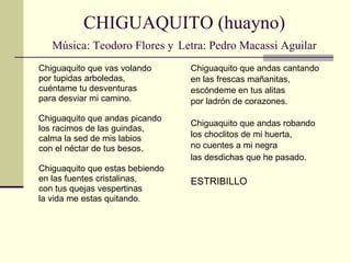 CHIGUAQUITO (huayno) Música: Teodoro Flores y   Letra: Pedro Macassi Aguilar Chiguaquito que vas volando por tupidas arboledas, cuéntame tu desventuras para desviar mi camino. Chiguaquito que andas picando los racimos de las guindas, calma la sed de mis labios con el néctar de tus besos. Chiguaquito que estas bebiendo en las fuentes cristalinas, con tus quejas vespertinas la vida me estas quitando. Chiguaquito que andas cantando en las frescas mañanitas, escóndeme en tus alitas por ladrón de corazones. Chiguaquito que andas robando los choclitos de mi huerta, no cuentes a mi negra las desdichas que he pasado . ESTRIBILLO 