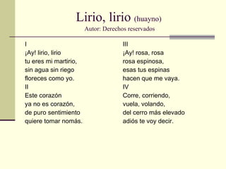 Lirio, lirio  (huayno)   Autor: Derechos reservados I ¡Ay! lirio, lirio  tu eres mi martirio,  sin agua sin riego  floreces como yo. II Este corazón  ya no es corazón, de puro sentimiento  quiere tomar nomás. III ¡Ay! rosa, rosa rosa espinosa, esas tus espinas hacen que me vaya. IV Corre, corriendo,  vuela, volando, del cerro más elevado  adiós te voy decir. 