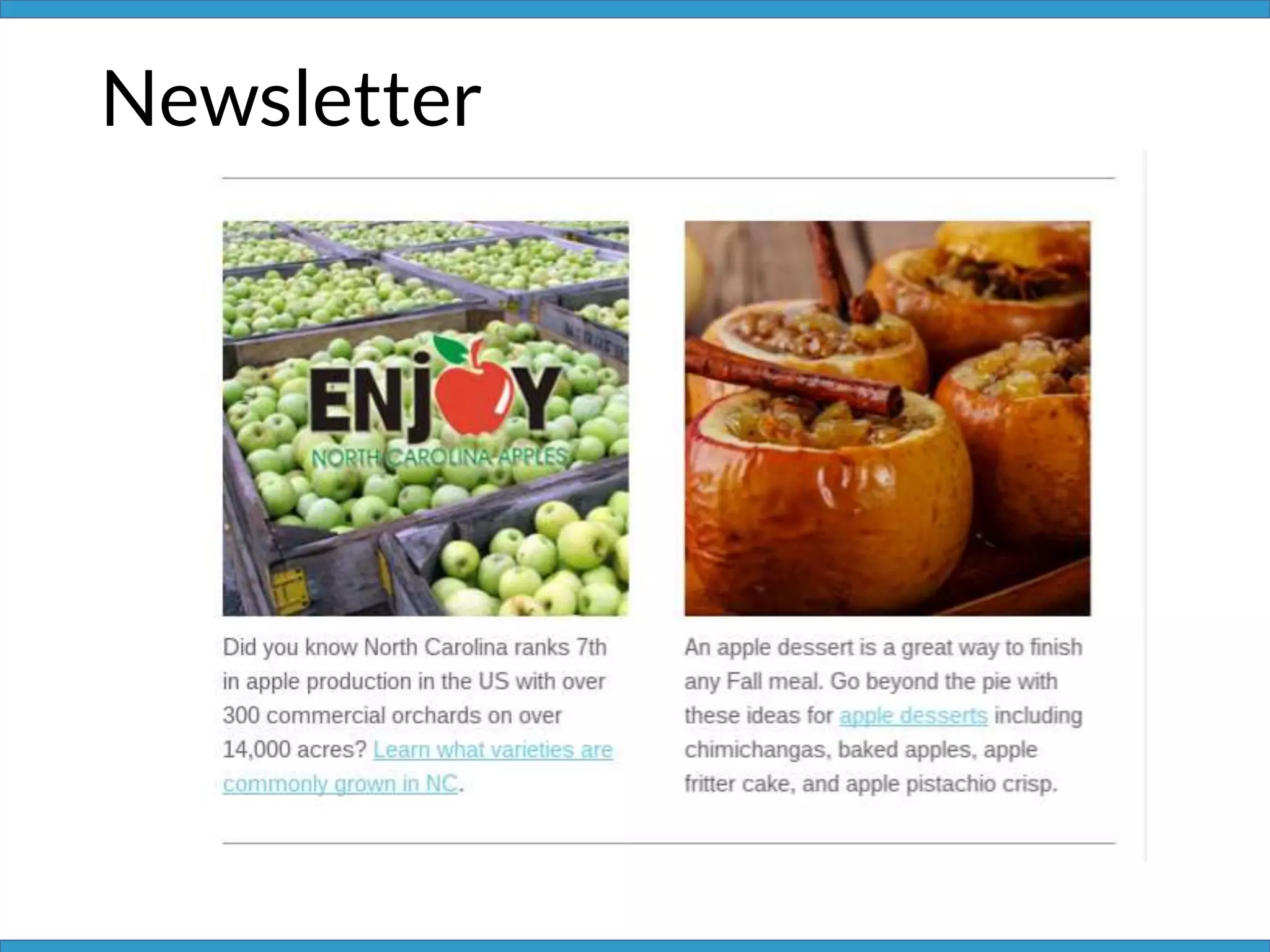 Newsletter
 