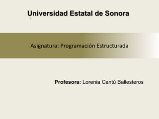Universidad Estatal de Sonora 
Asignatura: Programación Estructurada 
Profesora: Lorenia Cantú Ballesteros 
I 
 
