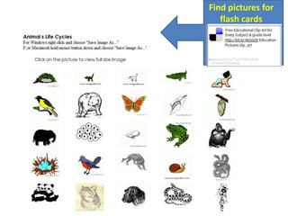Find pictures for flash cards