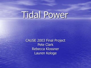Tidal Power
CAUSE 2003 Final Project
Pete Clark
Rebecca Klossner
Lauren Kologe
 