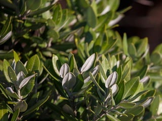 Empathy and understanding
 