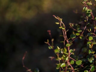 Empathy and understanding
 