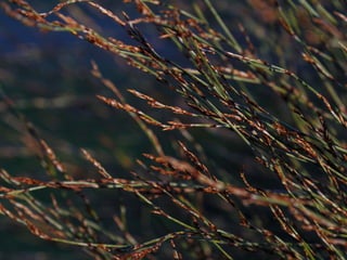 Empathy and understanding
 