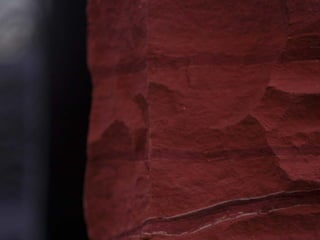 Empathy and understanding
 