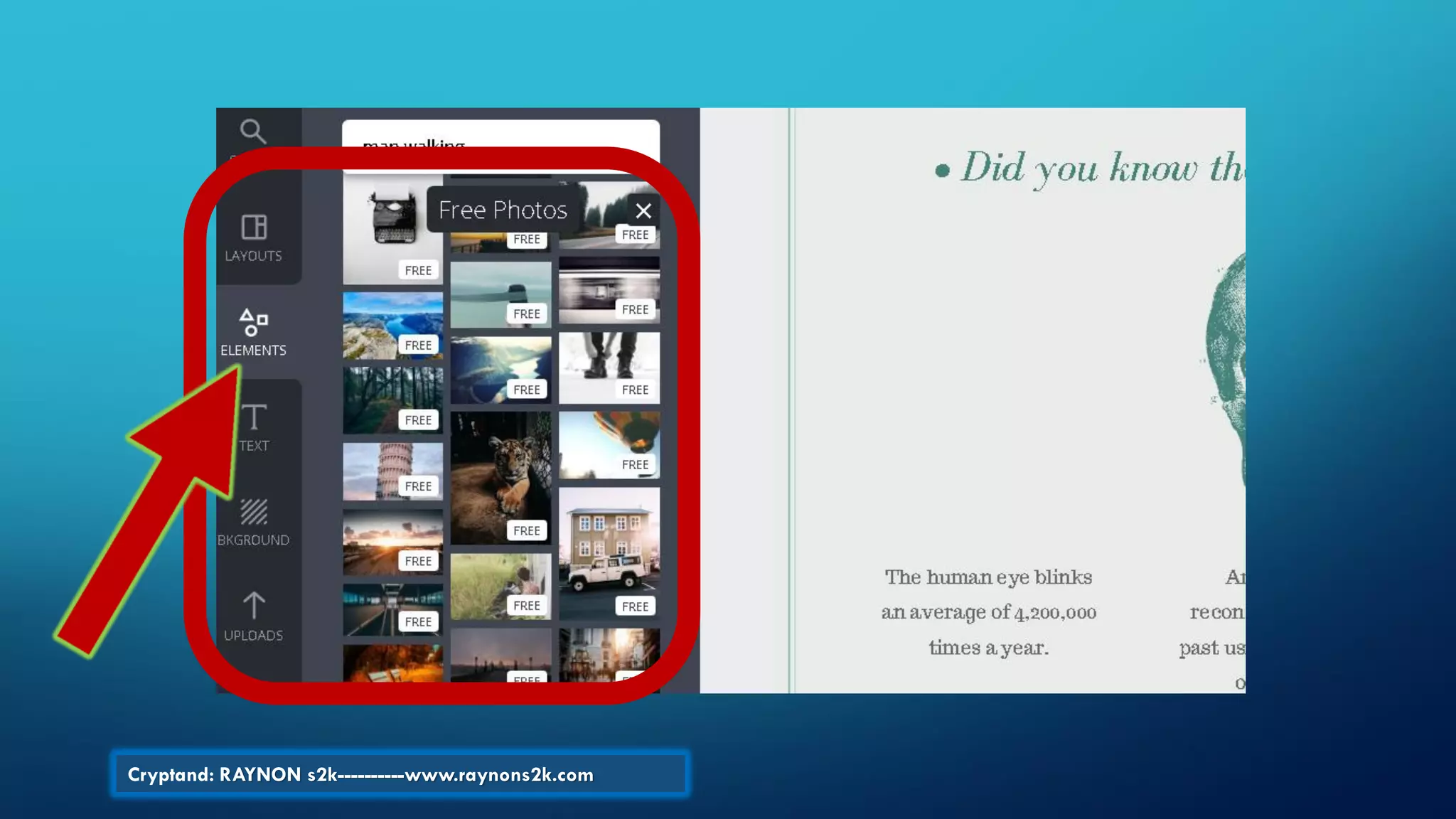 Cryptand: RAYNON s2k----------www.raynons2k.com
 