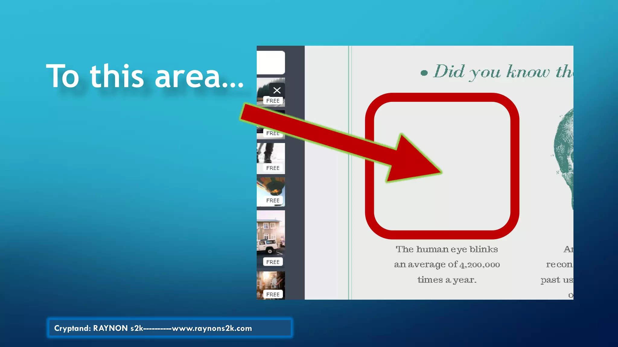 To this area…
Cryptand: RAYNON s2k----------www.raynons2k.com
 
