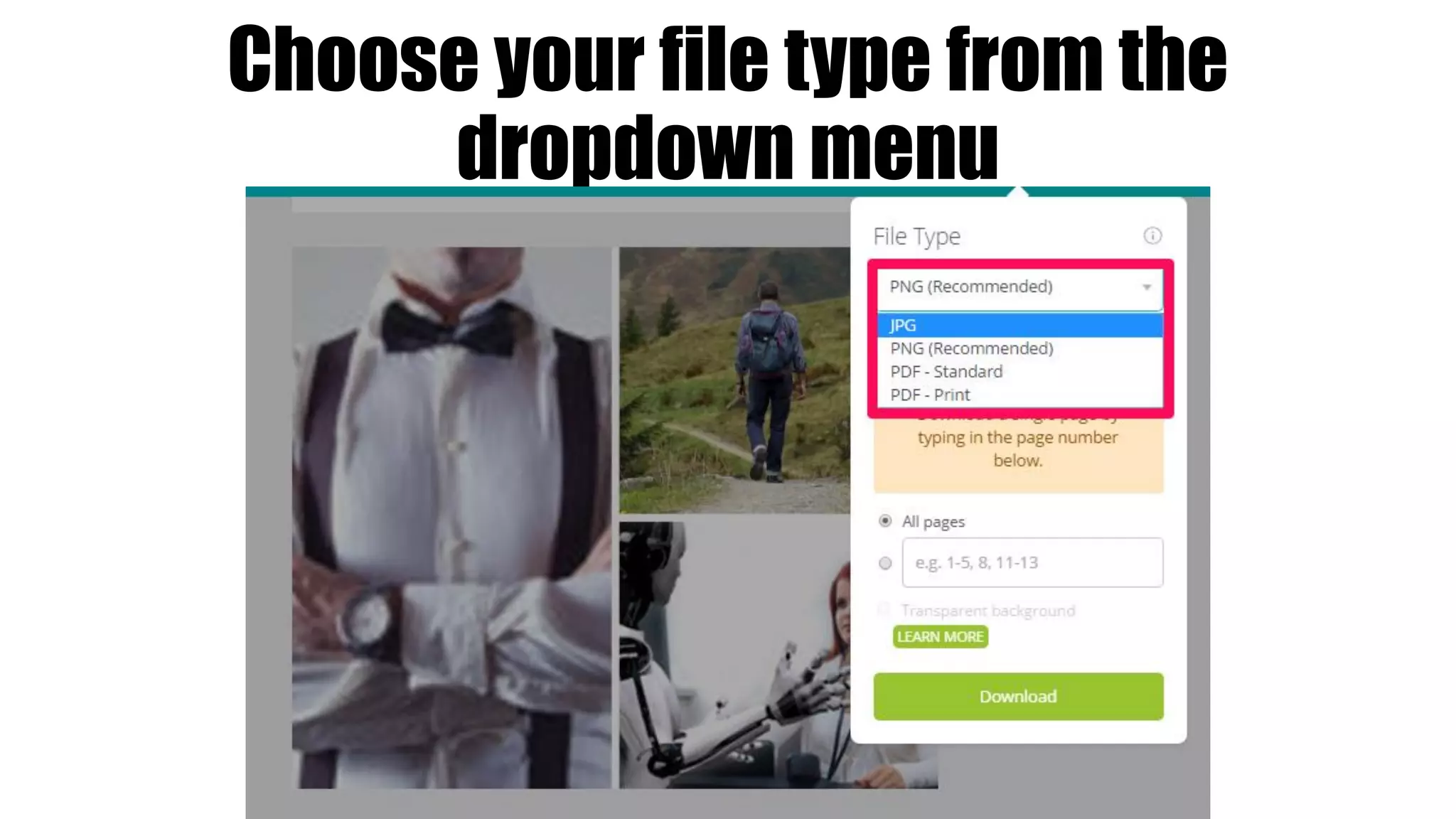 Choose your file type from the
dropdown menu
 