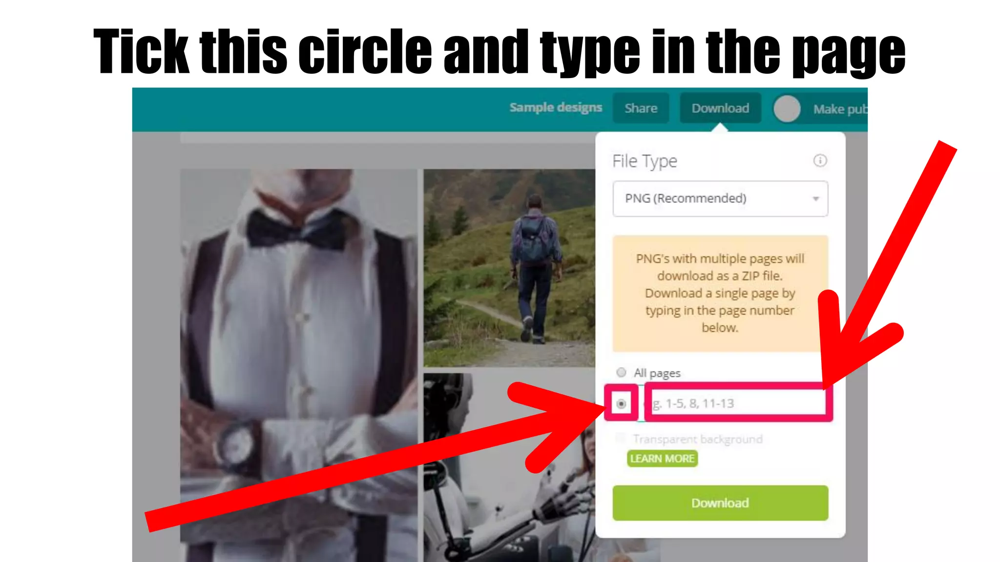 Tick this circle and type in the page
 