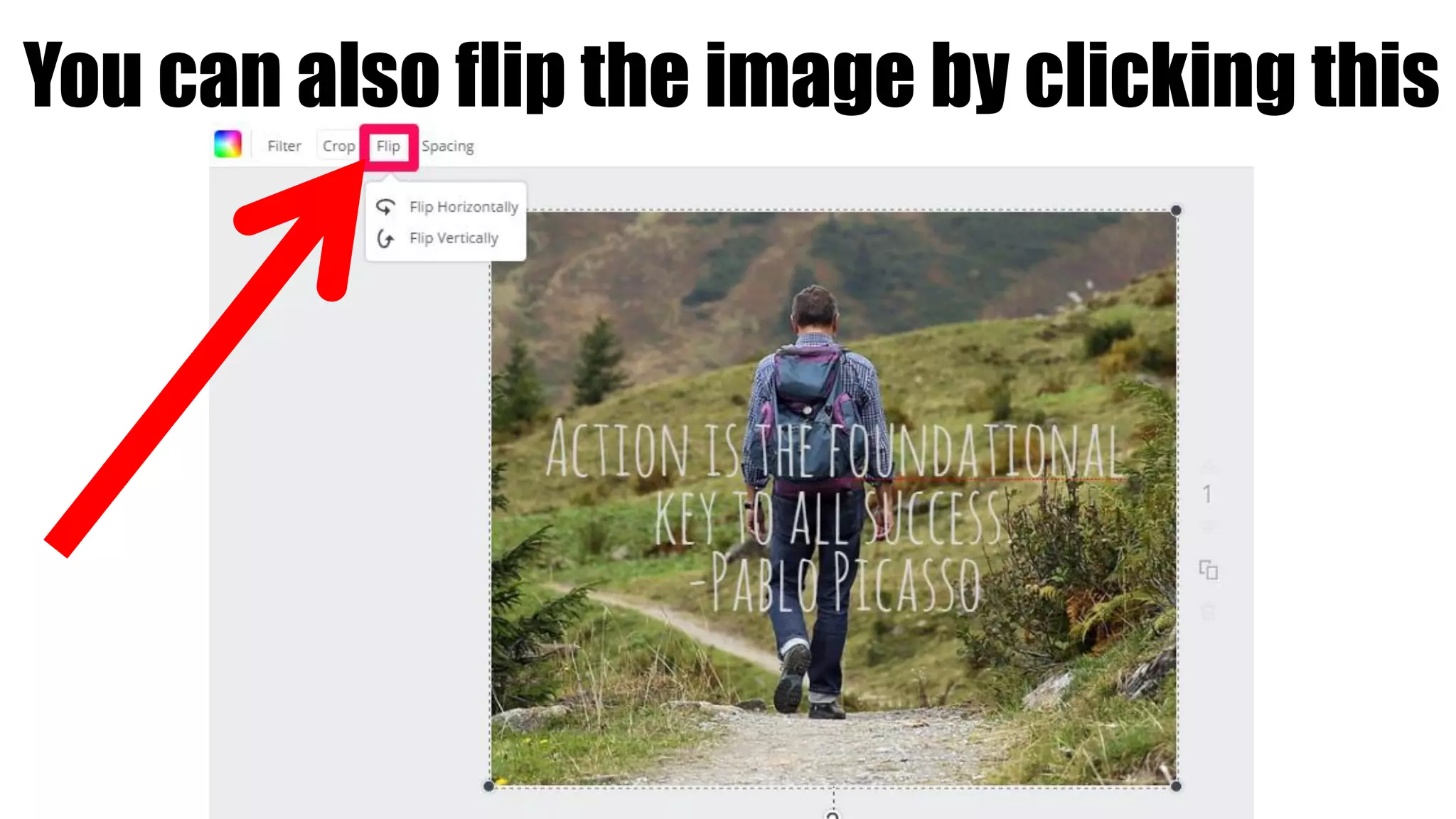 You can also flip the image by clicking this
 