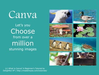 Canva
has
customisable
layouts
(c) What is Canva? A Beginner's Tutorial by
Delightful VP | http://madelreyes.com/tutorials/
 
