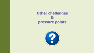 Other challenges
&
pressure points
 