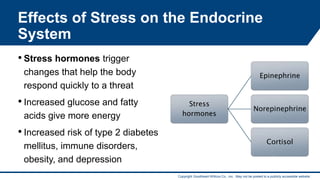 Copyright Goodheart-Willcox Co., Inc. May not be posted to a publicly accessible website.
Effects of Stress on the Endocrine
System
• Stress hormones trigger
changes that help the body
respond quickly to a threat
• Increased glucose and fatty
acids give more energy
• Increased risk of type 2 diabetes
mellitus, immune disorders,
obesity, and depression
Stress
hormones
Epinephrine
Norepinephrine
Cortisol
7
 