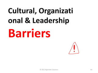 Cultural, Organizati
onal & Leadership
Barriers

         © 2012 BigVisible Solutions   64
 