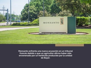 Monsanto enfrenta una nueva acusación en un tribunal
francés debido a que un agricultor afirma haber sido
envenenado por un herbicida producido por la unidad
de Bayer.
 