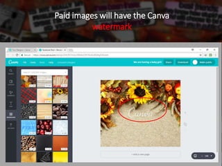 Paid images will have the Canva
watermark
 