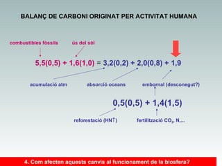 BALANÇ DE CARBONI ORIGINAT PER ACTIVITAT HUMANA

combustibles fòssils

ús del sòl

5,5(0,5) + 1,6(1,0) = 3,2(0,2) + 2,0(0,8) + 1,9
acumulació atm

absorció oceans

embornal (desconegut?)

0,5(0,5) + 1,4(1,5)
reforestació (HN↑)

fertilització CO2, N,...

4. Com afecten aquests canvis al funcionament de la biosfera?

 