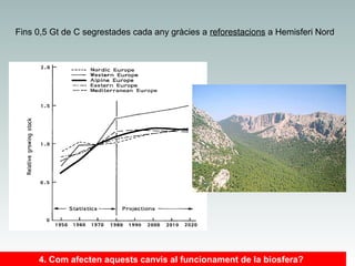 Fins 0,5 Gt de C segrestades cada any gràcies a reforestacions a Hemisferi Nord

4. Com afecten aquests canvis al funcionament de la biosfera?

 