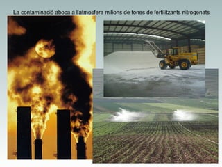 La contaminació aboca a l’atmosfera milions de tones de fertilitzants nitrogenats

 