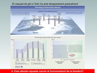 El casquet de gel a l’Artic ha anat desapareixent gradualment

4. Com afecten aquests canvis al funcionament de la biosfera?

 