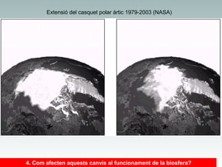 Extensió del casquet polar àrtic 1979-2003 (NASA)

4. Com afecten aquests canvis al funcionament de la biosfera?

 