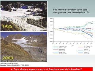 I de manera semblant bona part
dels glaciars dels hemisferis N i S

4. Com afecten aquests canvis al funcionament de la biosfera?

 