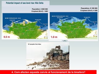 4. Com afecten aquests canvis al funcionament de la biosfera?

 