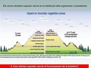 Els canvis climàtics suposen canvis en la distribució dels organismes i ecosistemes

4. Com afecten aquests canvis al funcionament de la biosfera?

 