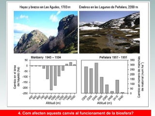 4. Com afecten aquests canvis al funcionament de la biosfera?

 