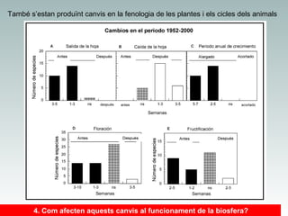 També s’estan produïnt canvis en la fenologia de les plantes i els cicles dels animals

Fig 2.1 CC ESpaña eco terrestres

4. Com afecten aquests canvis al funcionament de la biosfera?

 