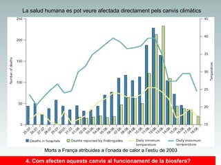 La salud humana es pot veure afectada directament pels canvis climàtics

Morts a França atribuides a l’onada de calor a l’estiu de 2003

4. Com afecten aquests canvis al funcionament de la biosfera?

 