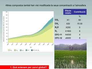Altres compostos també han vist modificada la seua concentració a l’atmosfera
Efecte
relatiu

Contribució
%

CO2

60

CH4

X20

15-30

N2O

X200

5

O3

X1800

8

CFC-11

X4000

4

CFC-12

1. Què entenem per canvi global?

X1

x6000

8

 