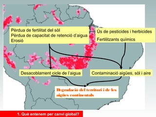 Pèrdua de fertilitat del sòl
Pèrdua de capacitat de retenció d’aigua
Erosió

Desacoblament cicle de l’aigua

Ús de pesticides i herbicides
Fertilitzants químics

Contaminació aigües, sòl i aire

Degradació del territori i de les
aigües continentals

1. Què entenem per canvi global?

 