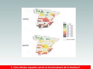 3. Com afecten aquests canvis al funcionament de la biosfera?

 