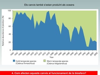 Els canvis també s’estan produïnt als oceans

4. Com afecten aquests canvis al funcionament de la biosfera?

 