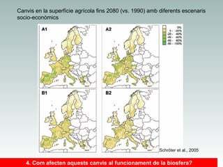 Canvis en la superfície agrícola fins 2080 (vs. 1990) amb diferents escenaris
socio-econòmics

Schröter et al., 2005

4. Com afecten aquests canvis al funcionament de la biosfera?

 